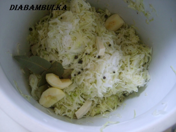 Sudová kapusta ( fotorecept ) - obrázok 3