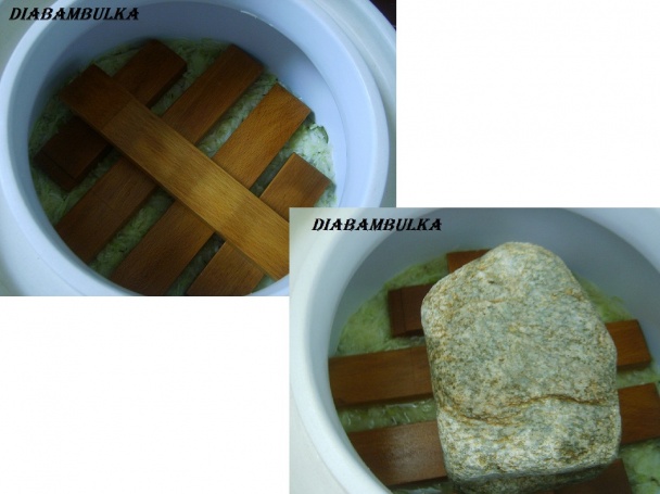 Sudová kapusta ( fotorecept ) - obrázok 5