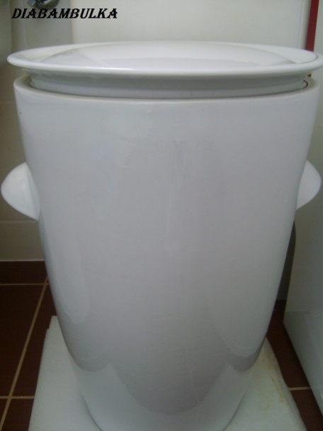 Sudová kapusta ( fotorecept ) - obrázok 6