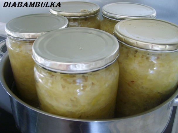 Sudová kapusta ( fotorecept ) - obrázok 7