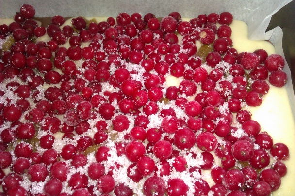 Expresný dvojfarebný ríbezľový koláč - obrázok 2