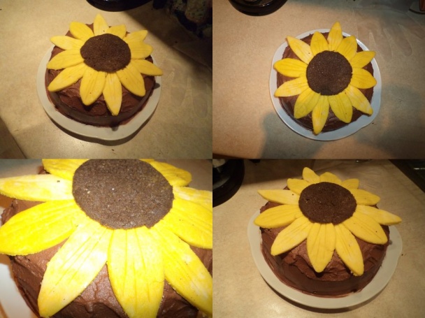 Najlepšia čokoládová torta - obrázok 5