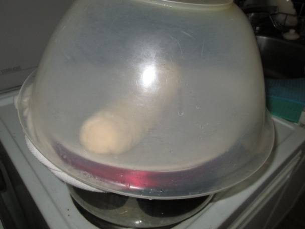 Parená knedľa - obrázok 3