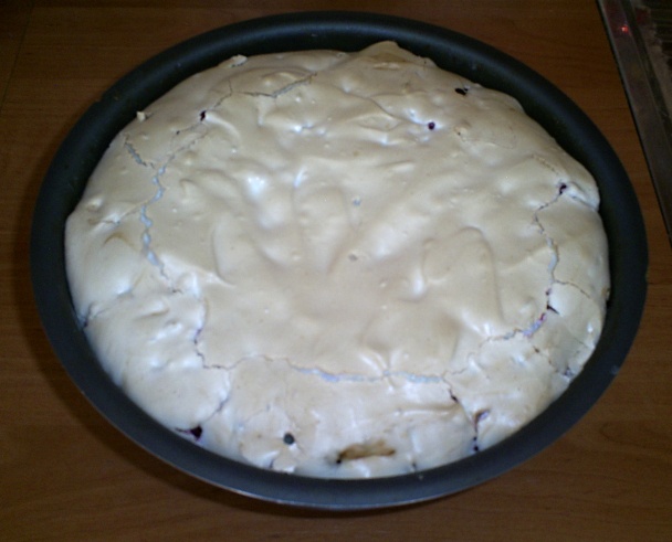 Ríbezľový sen pod perinkou (fotorecept) - obrázok 5