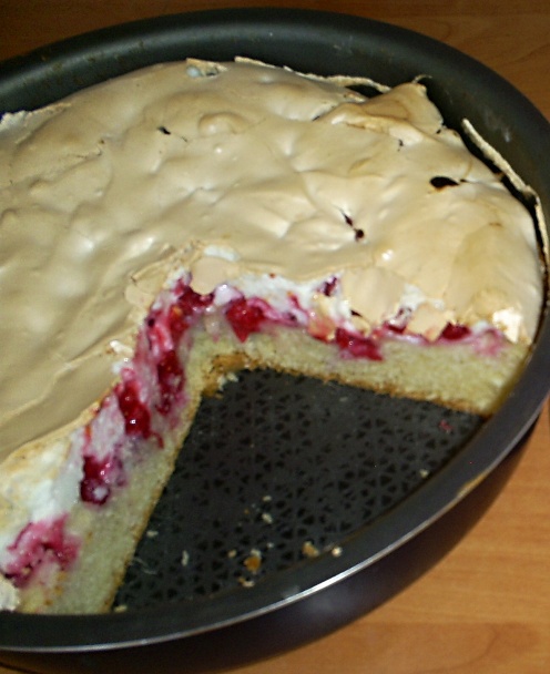 Ríbezľový sen pod perinkou (fotorecept) - obrázok 6