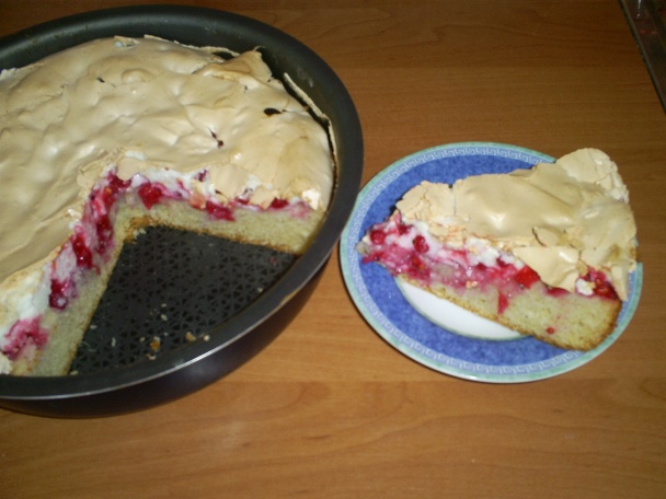 Ríbezľový sen pod perinkou (fotorecept) - obrázok 7