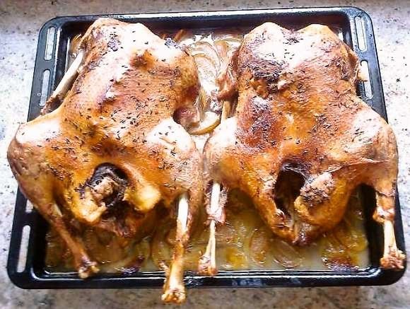 Kačenka 4x4 - obrázok 5