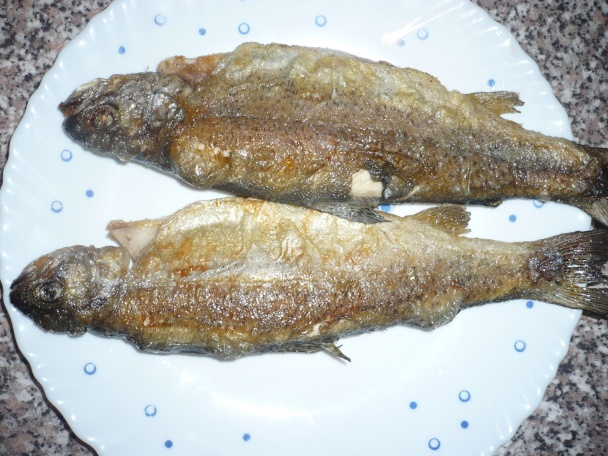 Pstruhy so zeleninou (fotorecept) - obrázok 1