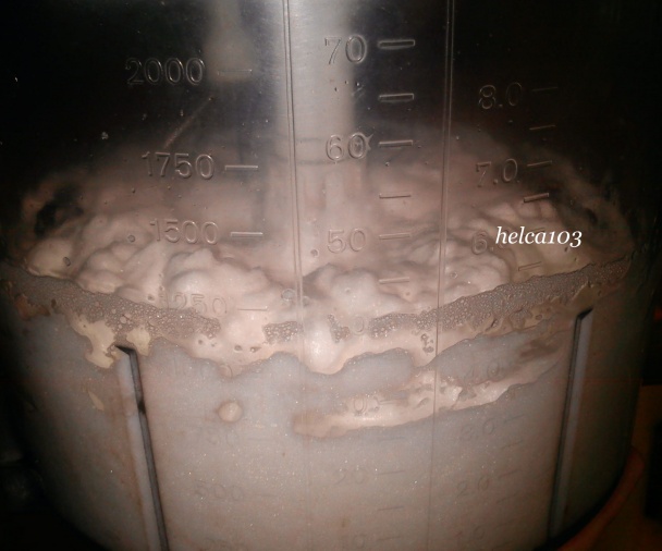 Maková piškóta s kivi želé (fotorecept) - obrázok 2