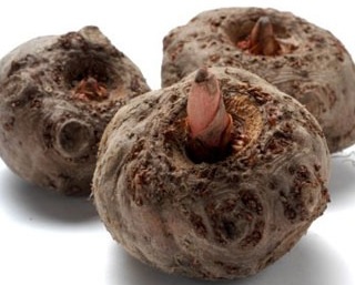 Shirataki s paradajkovou omáčkou (fotorecept) - obrázok 8