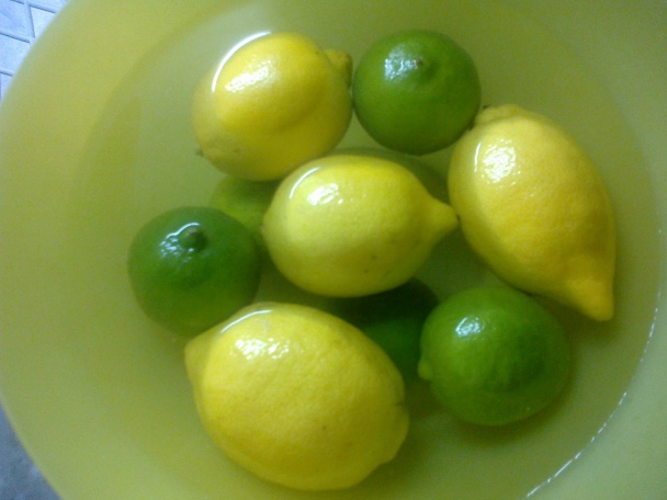 Domáci svieži Mojito sirup - koncentrát (fotorecept) - obrázok 1