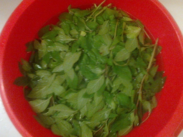 Domáci svieži Mojito sirup - koncentrát (fotorecept) - obrázok 2