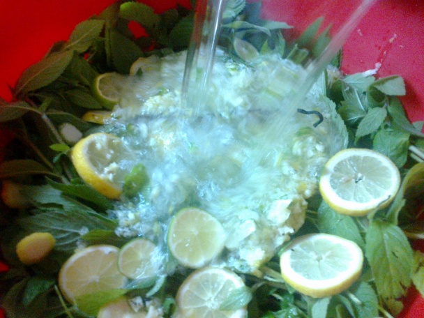 Domáci svieži Mojito sirup - koncentrát (fotorecept) - obrázok 6