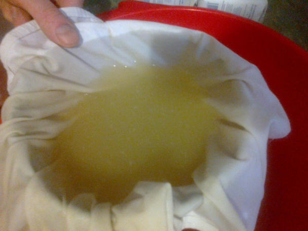 Domáci svieži Mojito sirup - koncentrát (fotorecept) - obrázok 8