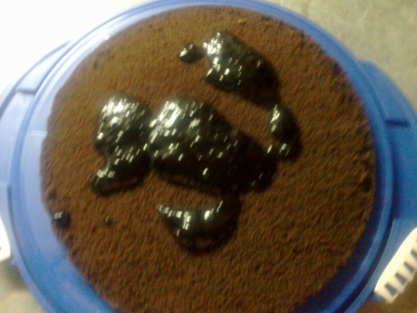 Svieža letná rýchlovka s ovocím (fotorecept) - obrázok 1