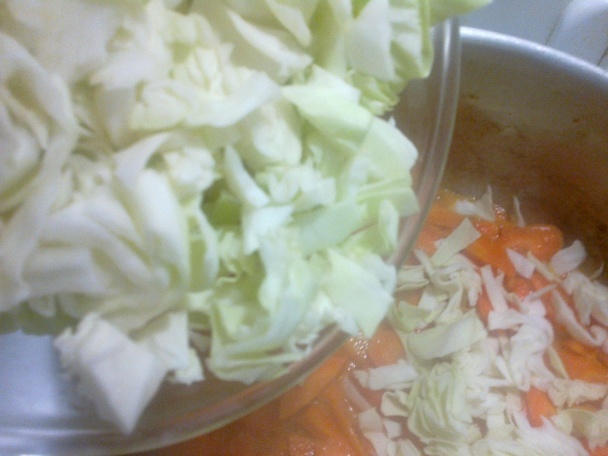 Pikantné krémové zeleninovo-kuracie karí (fotorecept) - obrázok 8