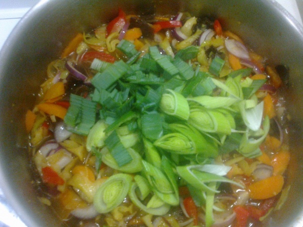 Pikantné krémové zeleninovo-kuracie karí (fotorecept) - obrázok 13