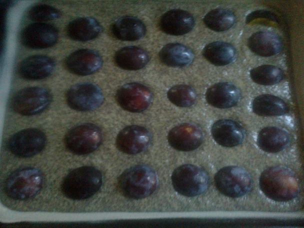 Expresný makový koláč so slivkami - obrázok 3