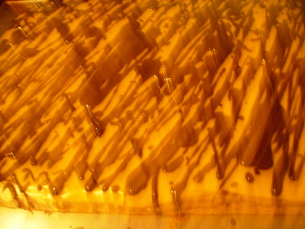 Karamelovo-čokoládové kocky s orechmi (fotorecept) - obrázok 7