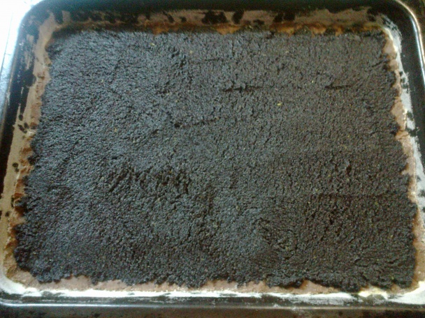 Strúhaný koláč s makom a slivkami (fotorecept) - obrázok 7