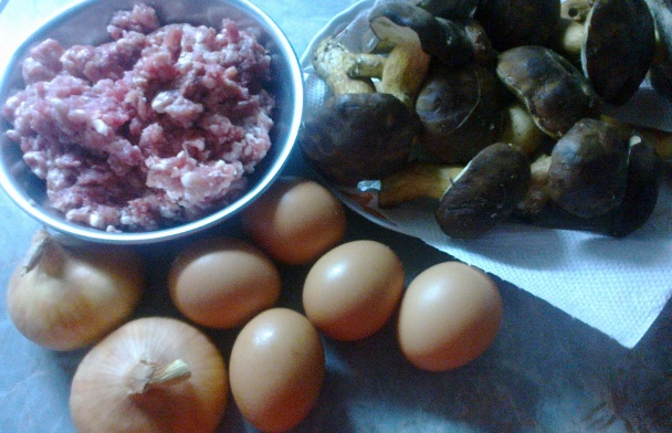 Suchohríby na spôsob mozočku (fotorecept) - obrázok 1