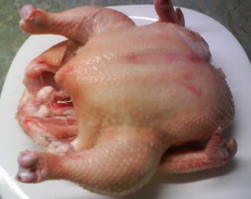 Máčikovo *Morové* kurča - obrázok 2