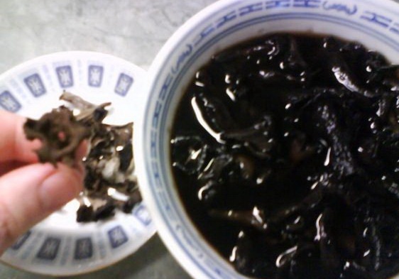 Máčikovo *Morové* kurča - obrázok 4