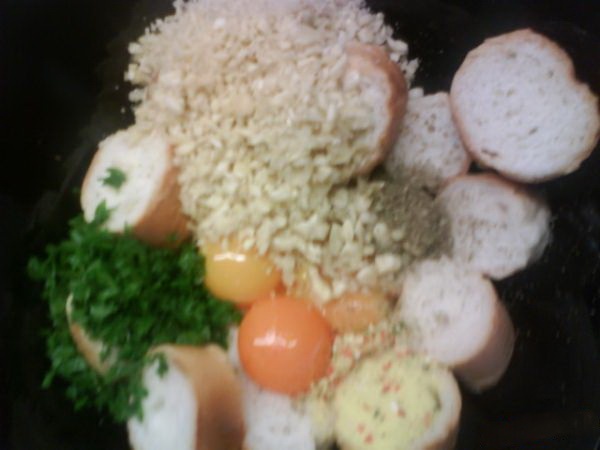 Máčikovo *Morové* kurča - obrázok 8