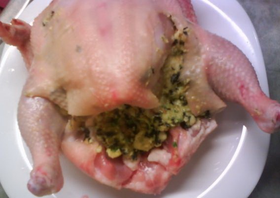 Máčikovo *Morové* kurča - obrázok 12