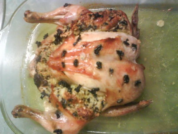 Máčikovo *Morové* kurča - obrázok 14