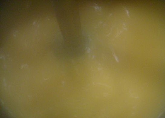 Zeleninovo-hubová polievka (fotorecept) - obrázok 10