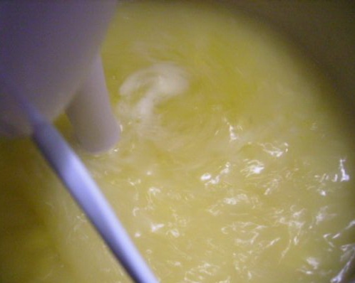 Antichripkačka - Cesnaková krémová polievka s nivovo-cesnakovými krutónmi (fotorecept) - obrázok 10