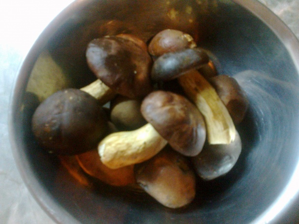 Kuracia polievka s pečeňovo-hríbovými knedličkami (fotorecept) - obrázok 5