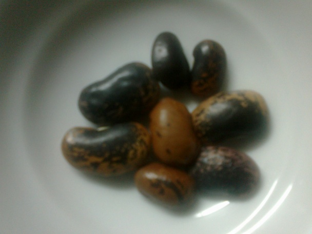 Jókaiho fazuľová polievka s čipetkami (fotorecept) - obrázok 1