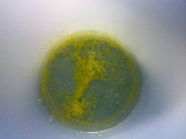 Citrónovo-orechové rezy (fotorecept) - obrázok 2