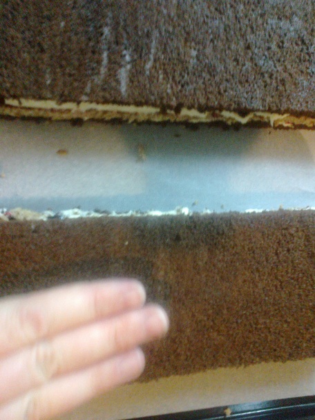 Citrónovo-orechové rezy (fotorecept) - obrázok 18