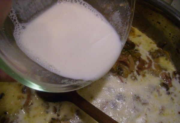 Gnocchi s omáčkou zo šampiňónov, dubákov, parmezánu, prosciutta a smotany  (fotorecept) - obrázok 10