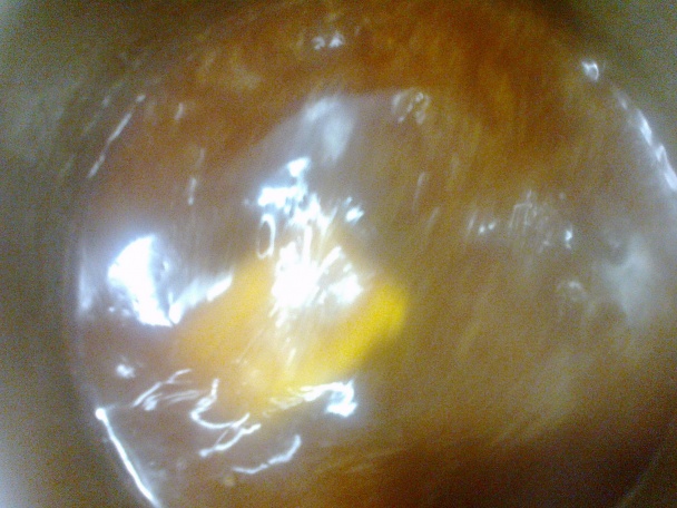 Dusená krkovička na cibuli, jablkách, chilli a rozmaríne (fotorecept) - obrázok 18