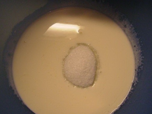 Svieži čučoriedkový zákusok (fotorecept) - obrázok 9