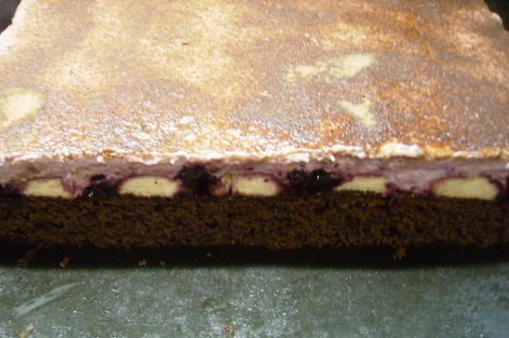 Svieži čučoriedkový zákusok (fotorecept) - obrázok 16