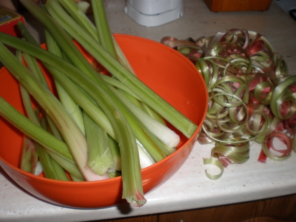 Rebarborový koláč (fotorecept) - obrázok 1