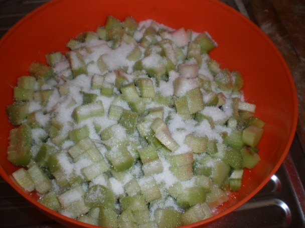 Rebarborový koláč (fotorecept) - obrázok 2