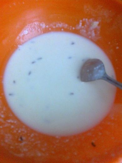 Vianočné syrové oplátky (fotorecept) - obrázok 2