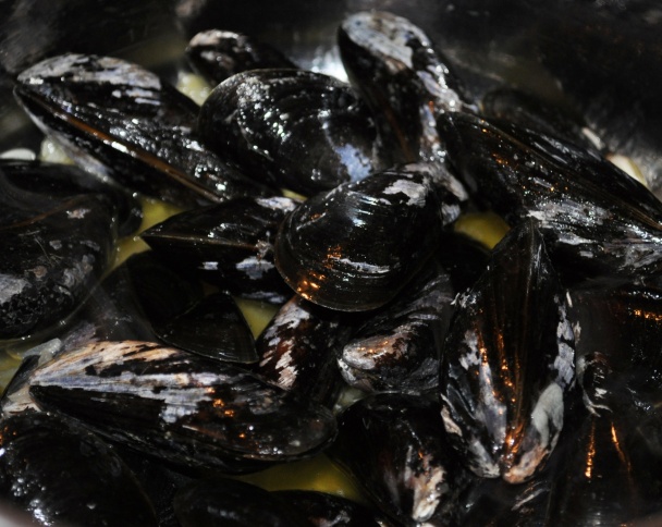 Slávky s medveďom (fotorecept) - obrázok 1