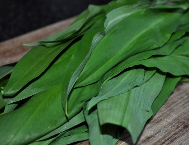 Slávky s medveďom (fotorecept) - obrázok 2