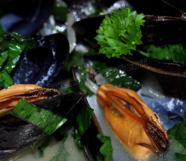 Slávky s medveďom (fotorecept) - obrázok 3