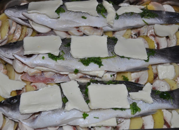 Morský vlk na šampiňónoch (fotorecept) - obrázok 2