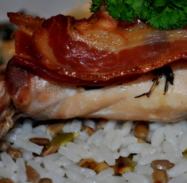 Králik na tymiáne (fotorecept) - obrázok 6