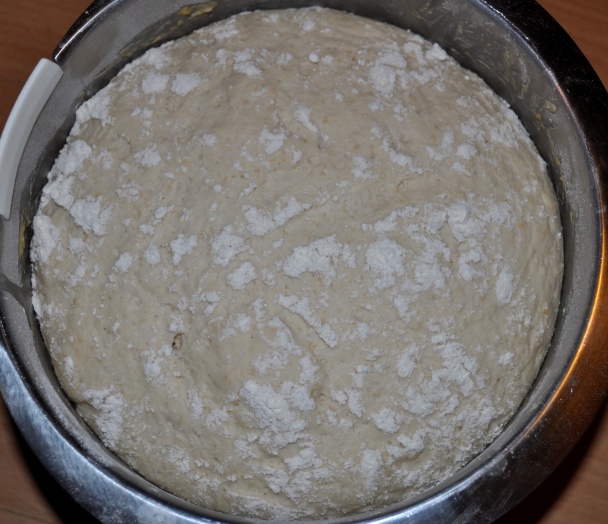 Medfouna (fotorecept) - obrázok 1