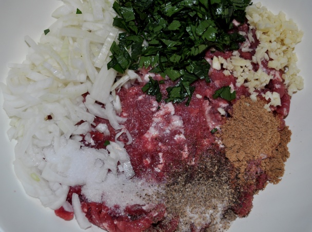 Medfouna (fotorecept) - obrázok 2